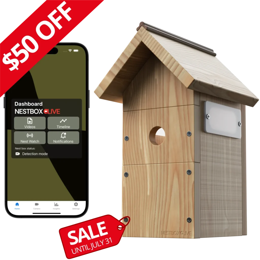 Nest Box Live Bird House with Camera Sale