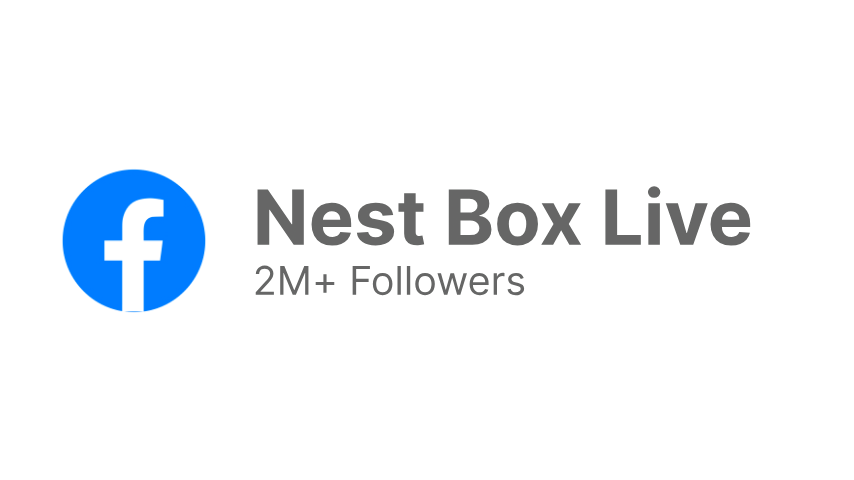 Nest Box Live Facebook Followers