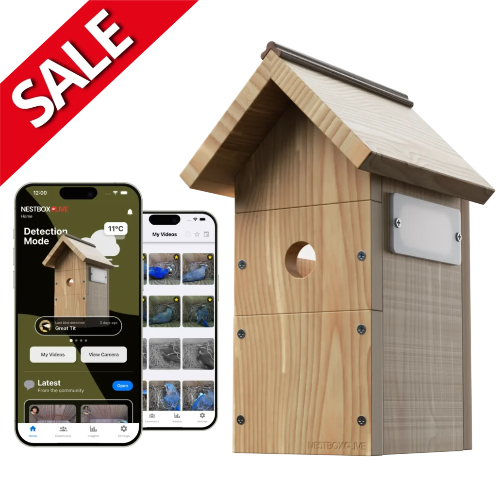 Nest Box Live Bird Nest Box with Camera