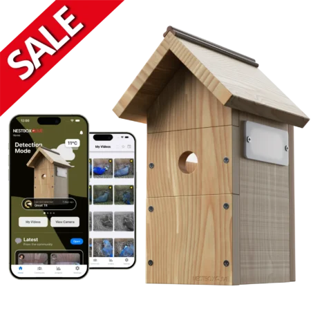 Nest Box Live Bird Nest Box with Camera