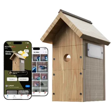 Bird House with Camera: HD, AI Recognition & Live Streaming