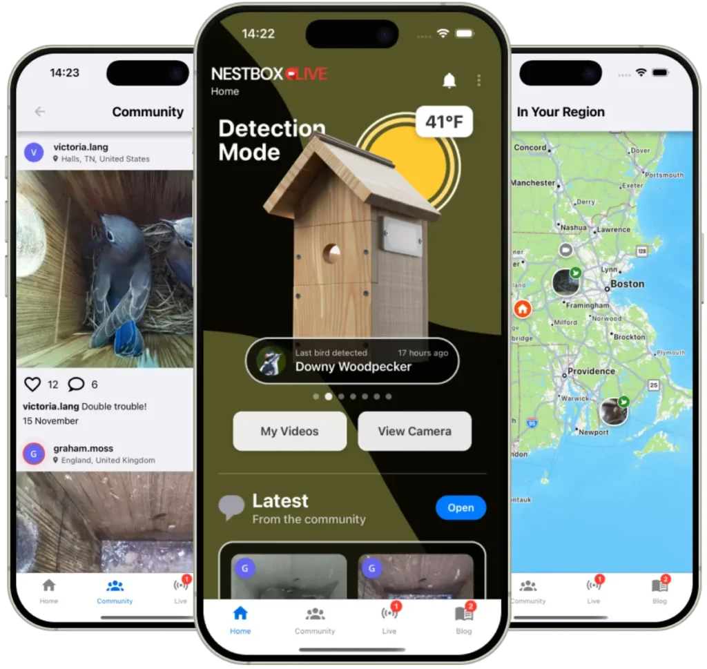 Nest Box Live App