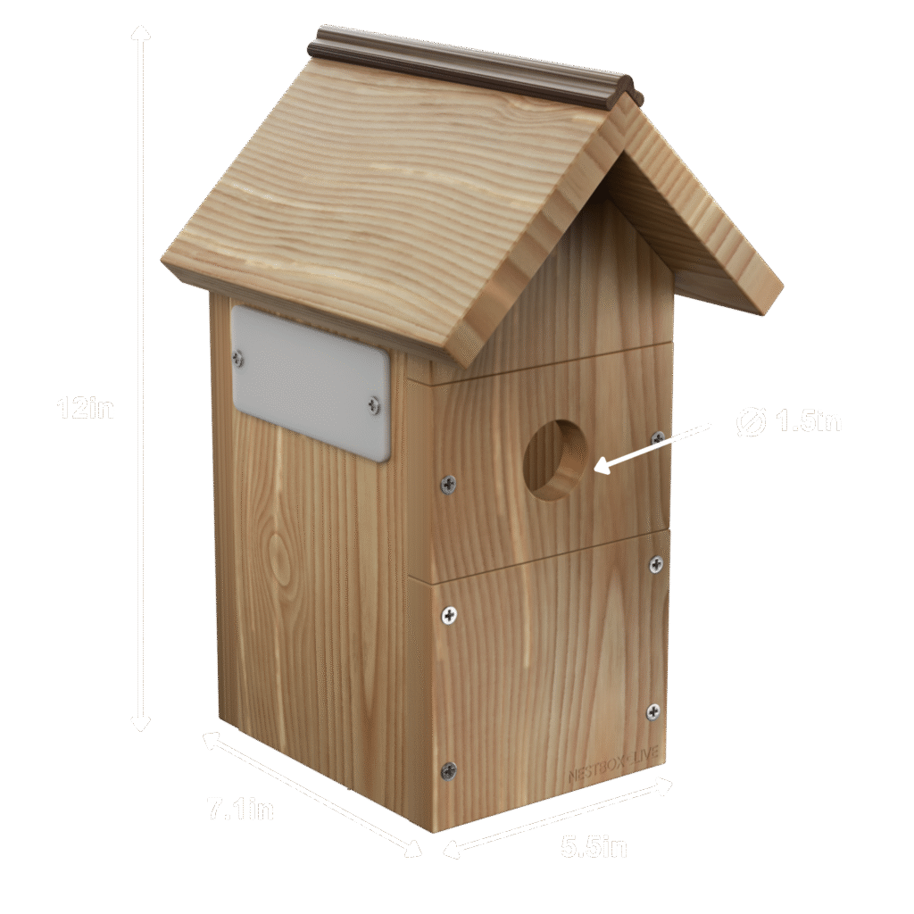 Nest Box Live Birdhouse Dimensions
