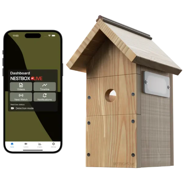 Nest Box Live Bird Nest Box with Camera
