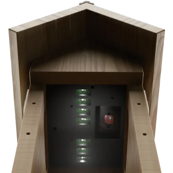 Nest Box Live Internal LEDs