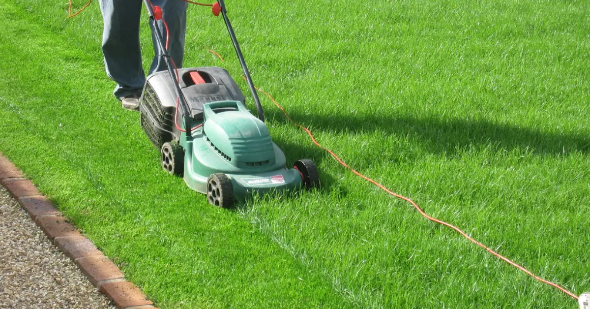 A person mowing a grassy lawn with a hand push lawn mower.