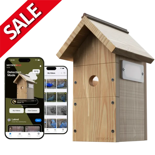 Nest Box Live Bird Nest Box with Camera