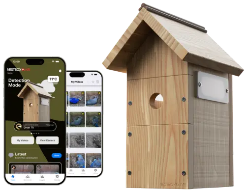 Smart Bird House Camera with App