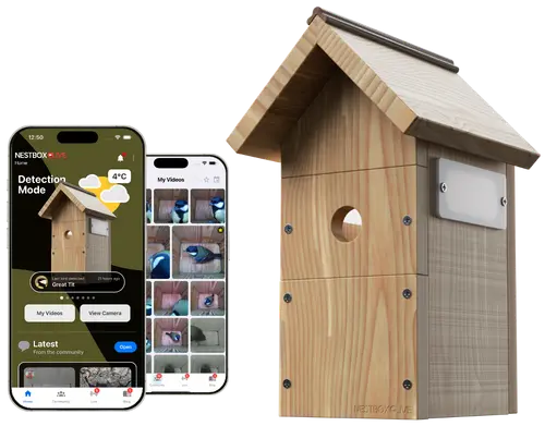 Homepage product photo